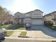 Swainsons Hawk, STOCKTON, CA 95209