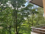 Swap Only 2Z Neukölln schillerkiez gg Prenzlauer Berg Mitte