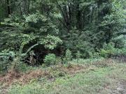Sweeney Hollow Rd, Birmingham, Plot For Sale