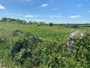 Swordlestown South, Naas, Co. Kildare is for sale