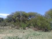 T003CB Excelente fracción de 1Ha 6.939m2 c/escritura en...