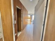 T0+1 novo com terraço Firmeza Dourada