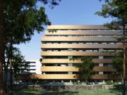 T0 Novo no Coração de Gaia