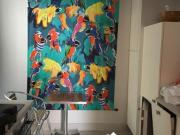 T1 à Nimes à louer Locagestion, expert en gestion locative