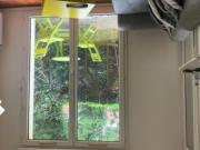 T1 à Toulouse à louer Locagestion, expert en gestion... T1 à Toulouse à louer Locagestion, expert en gestion...