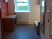 T1 bis à Oyonnax à louer Locagestion, expert en gestion...