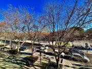 T1, calme, lumineux, centre ville, jardin de la fontaine