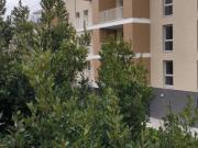 T2 à Neuville Sur Saone à louer Locagestion, expert en...