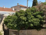 T2 à vendre au pied de Notre Dame de la Garde