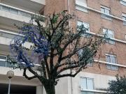 T2 com Varandas e Garagem Fechada na Maia 94m² Cidade da...