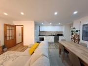 T2 com vista rio Fão