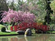 T2 de 53m2 avec terrasse au pied du jardin japonais...