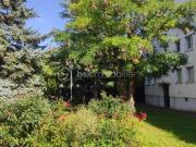 T2 Lumineux /42 m2/ Gondoles Nord / Choisy le Roi