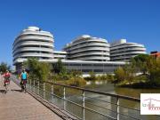 T2 meublé à Canet en Roussillon investissement LMNP