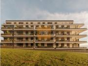 T2 novo na Seca do bacalhau Canidelo