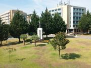 T2 EQUIPADO S. ViCENTE CENTRO