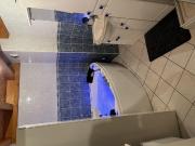 T3 avec balnéo et grand balcon vue sur le MT Blanc