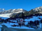 T3 Cabine 2 places de parking casier à skis 68m² Les...