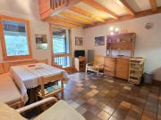 T3 COIN MONTAGNE en duplex