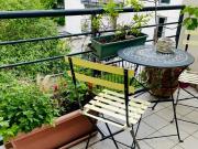 T3 PLEIN COEUR DE VAISE 70 M2 BALCON GARAGE