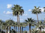 T4 | CROISETTE | PRESTIGE | VUE MER