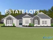 t RENTON C NEWBY CHAPEL ROAD, ATHENS, AL 35613