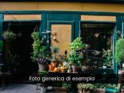 Tabaccheria in vendita a Frosinone