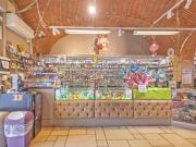 Tabaccheria in vendita a Titignano Cascina 120 mq Rif:...