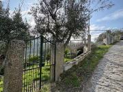 Tabuaco Viseu 100021879