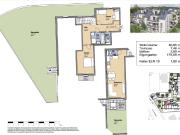 Neues Projekt in der Schwarzelackenau beim...