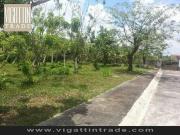 Tagaytay House And Lot Or Lot only