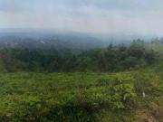 TAGAYTAY RAW LAND FOR SALE