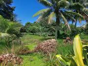 Taiarapu Est 98719, 98720, 98721, 98722 Achat / Vente...