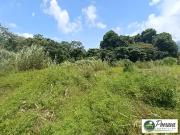 Taiarapu Est 98719 Achat / Vente terrain