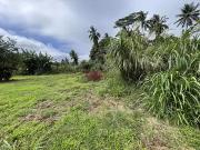 Taiarapu Est 98719 Achat / Vente terrain