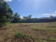 Taiarapu Est 98719 Achat / Vente terrain