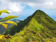 Taiarapu Est 98719 Achat / Vente terrain
