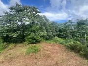 Taiarapu Est 98719 Achat / Vente terrain