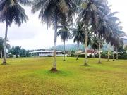 Taiarapu Est 98719 Achat / Vente terrain