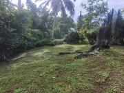 Taiarapu Est 98719 Achat / Vente terrain