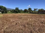 Taiarapu Est 98719 Achat / Vente terrain