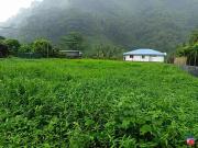 Taiarapu Est 98719 Achat / Vente terrain