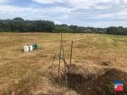 Taiarapu Est 98719 Achat / Vente terrain