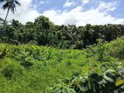 Taiarapu Est 98719 Achat / Vente terrain