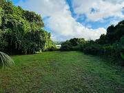 Taiarapu Est 98719 Achat / Vente terrain