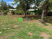 Taiarapu Est 98721 Achat / Vente terrain