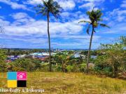 Talamban Cebu City Residential House and Lot For Sale Talamban Cebu City Residential House and Lot For Sale