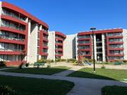 Talca, cumbres de san miguel