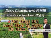 Taman Desa Cemerlang