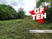 TAMAN KELADI